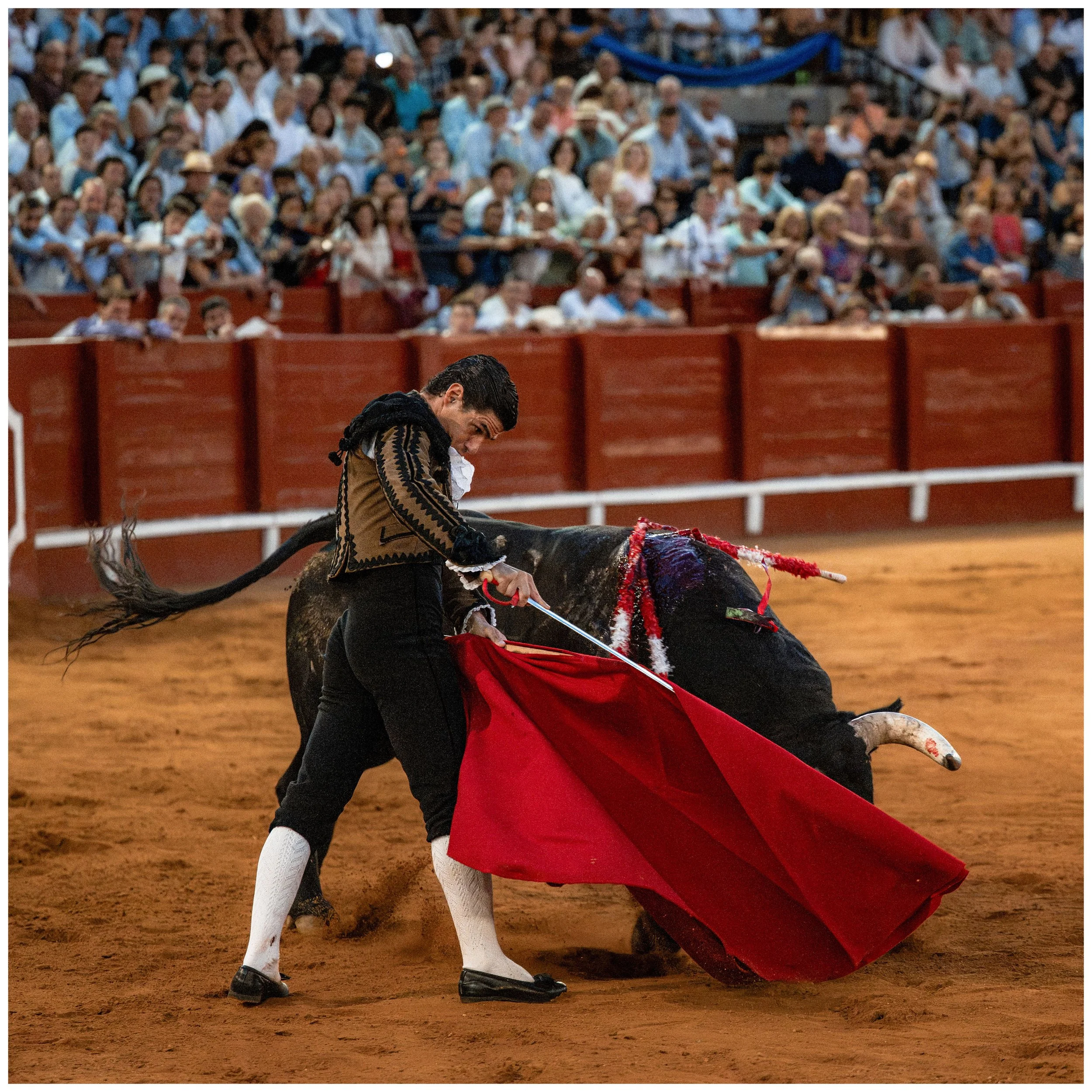 aranjuez-121.JPG