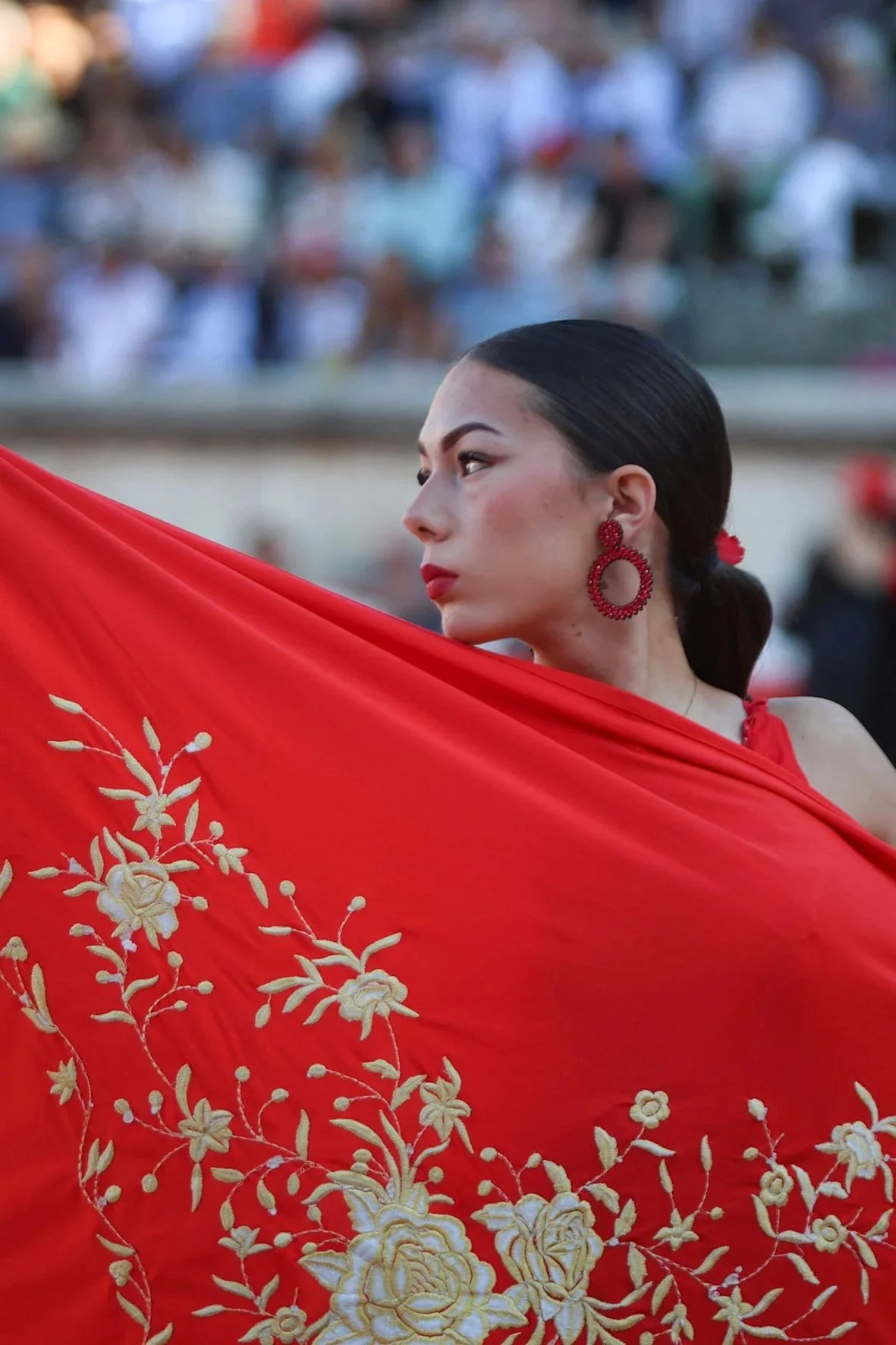 Galería de la corrida de Carmen en Nimes, por Mauricio Berho 