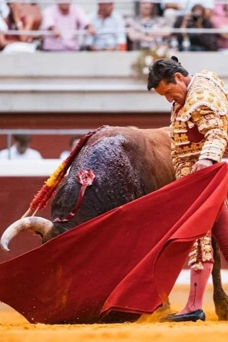 Sabor, maestría y sabotaje