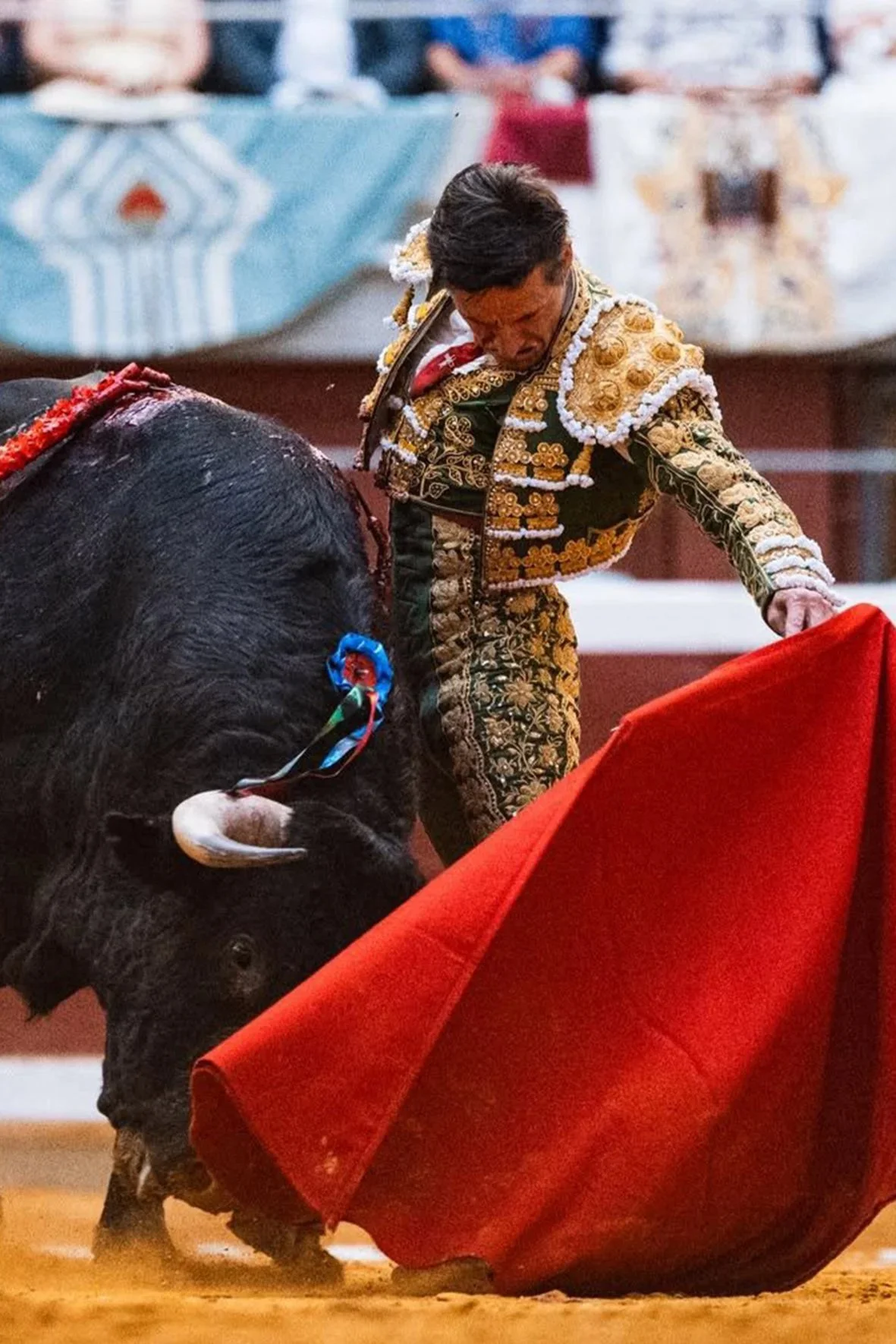 Galería de la 3º de la Feria de Logroño 