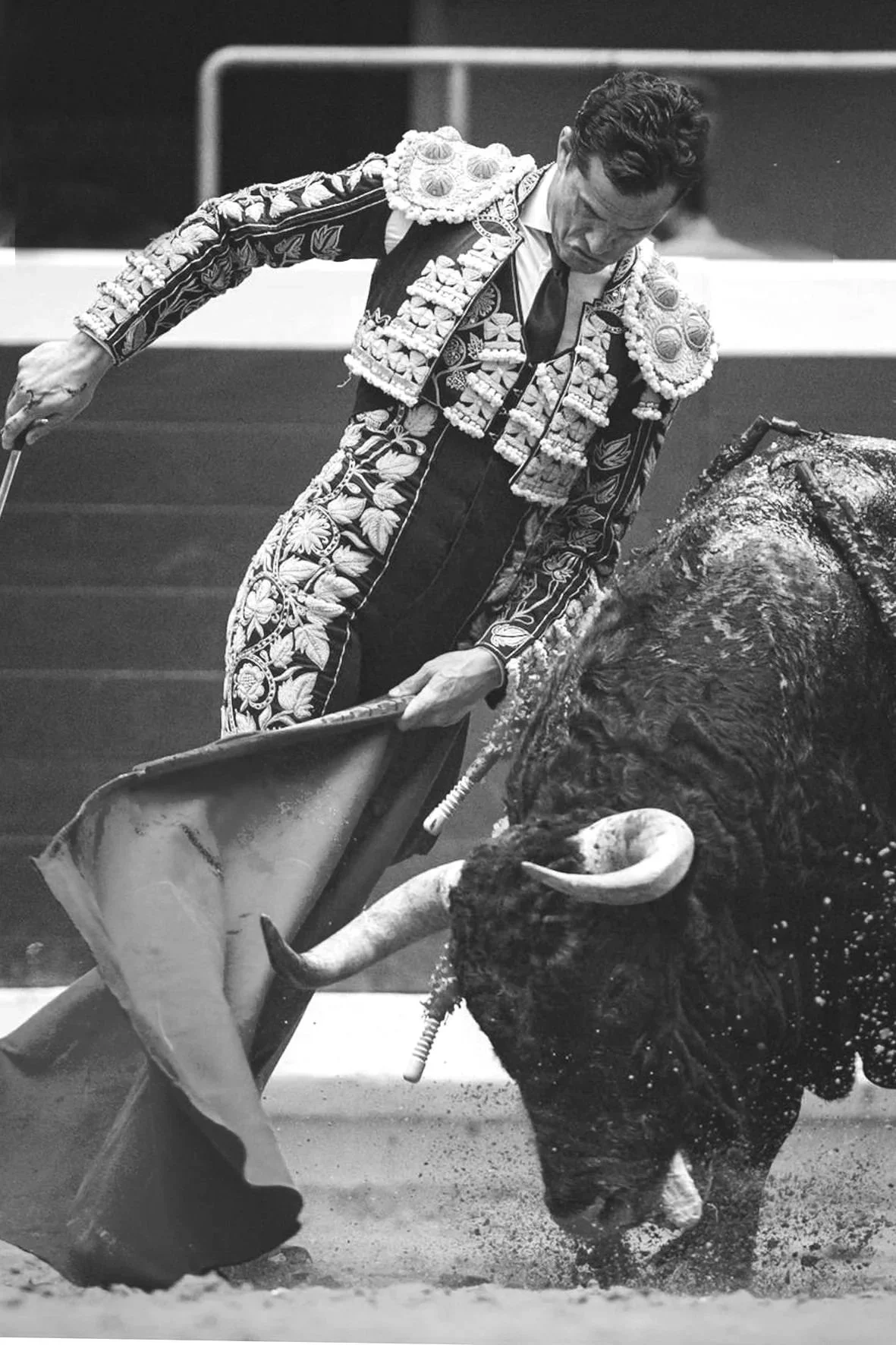Galería de la 4º de la Feria de Logroño 