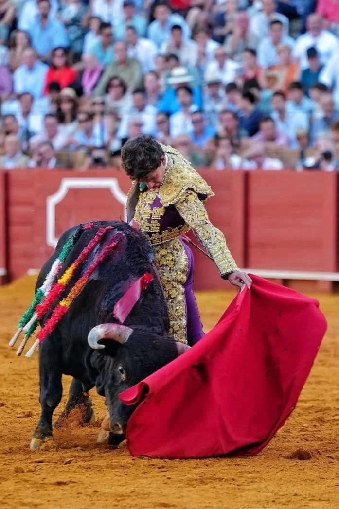Esperanzador debut de Manuel Domínguez