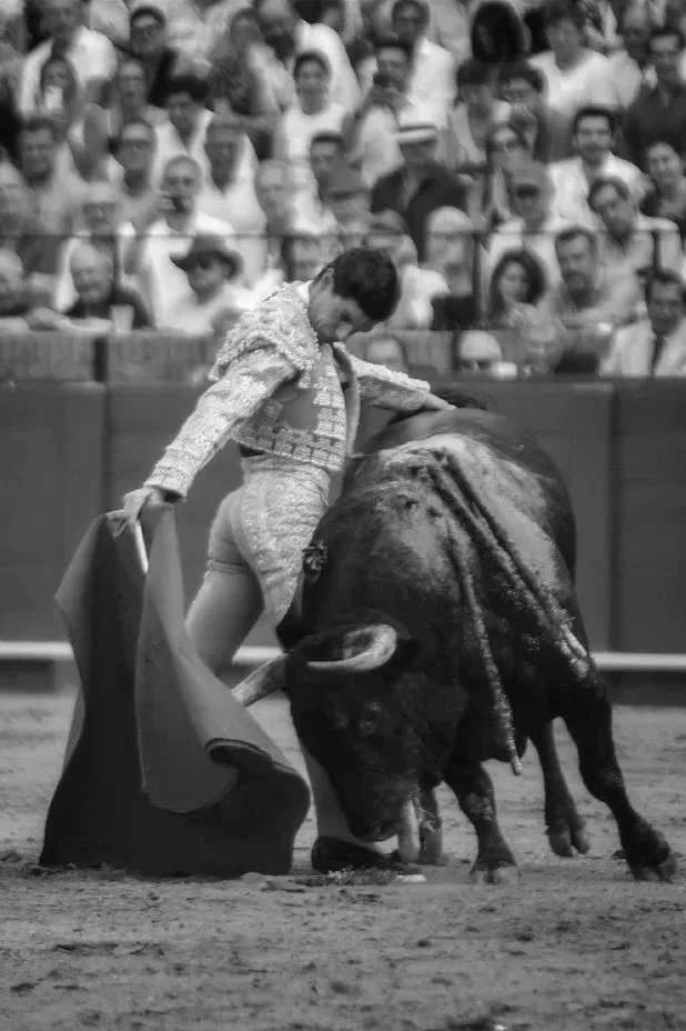 El toreo está en Sevilla