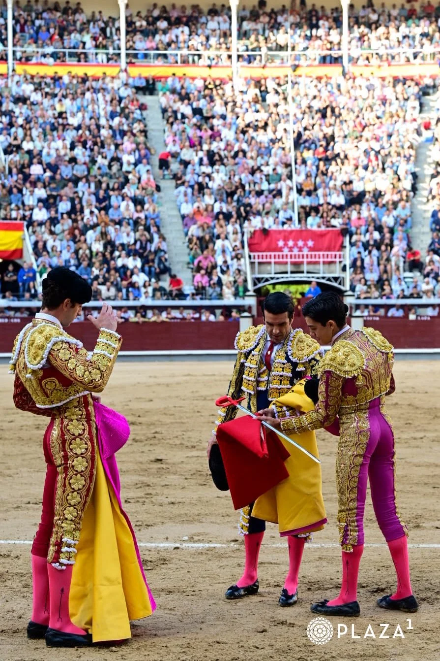 Odiar a un torero