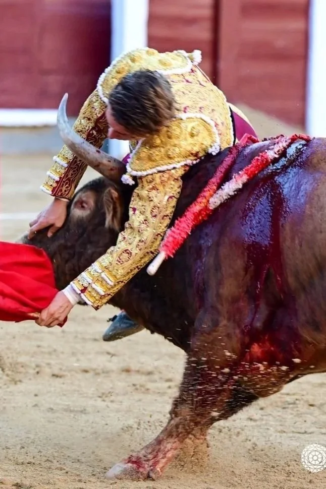 Herido pero intacto