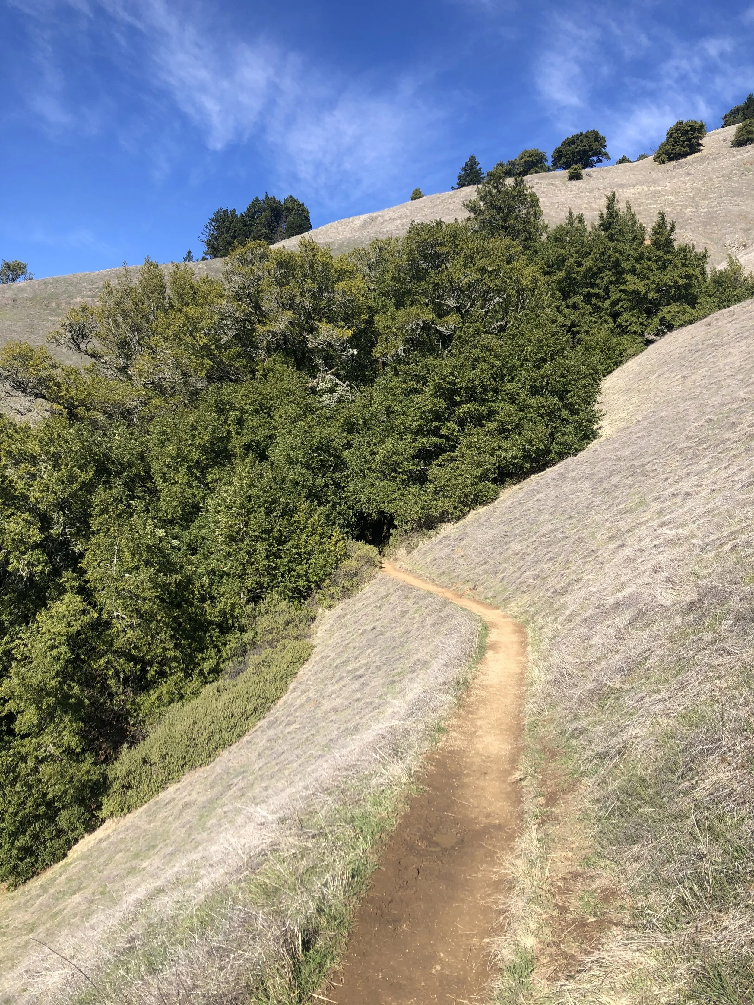 IMG_0792.jpeg