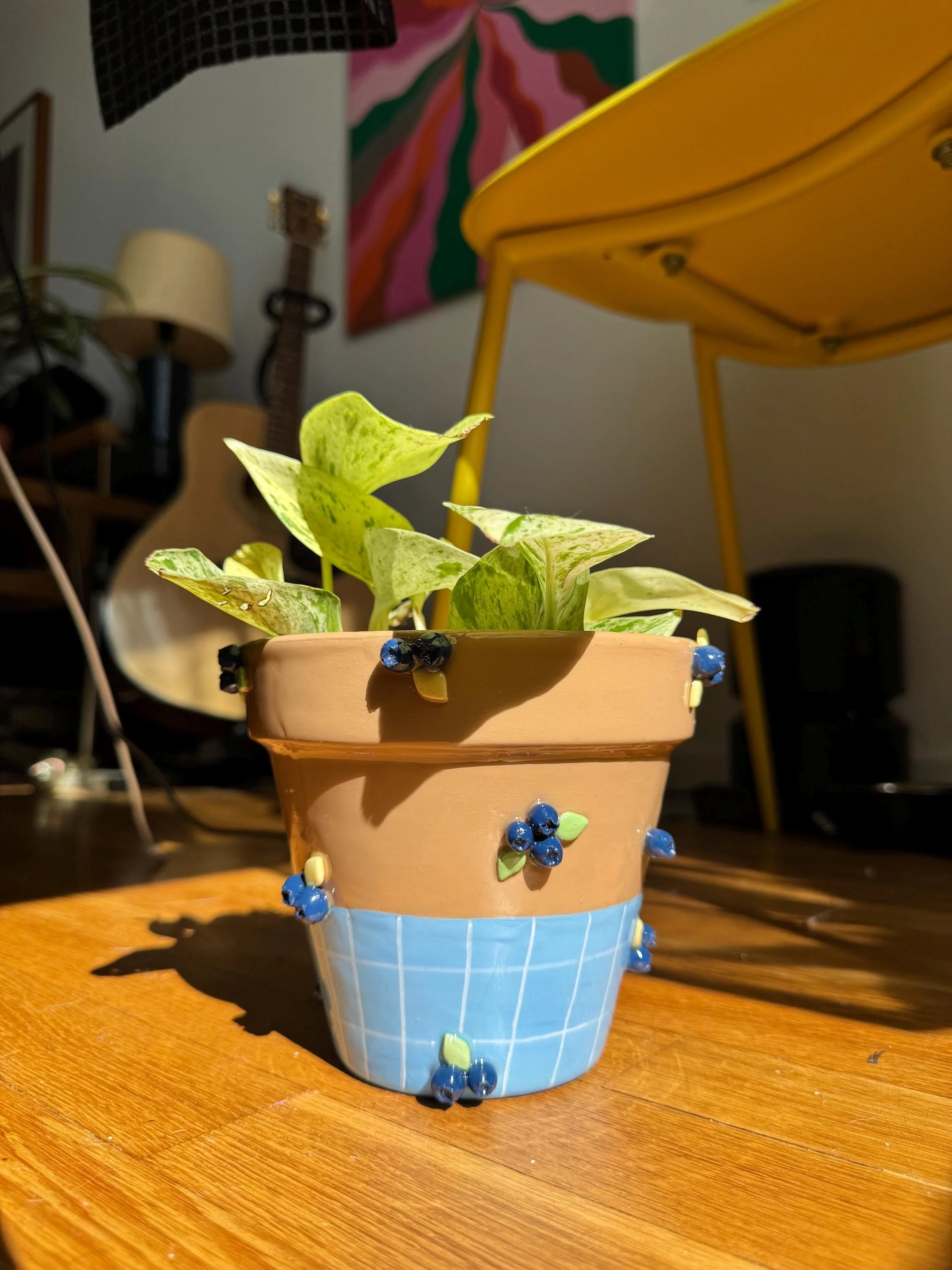 blueberries.avif 2.jpg