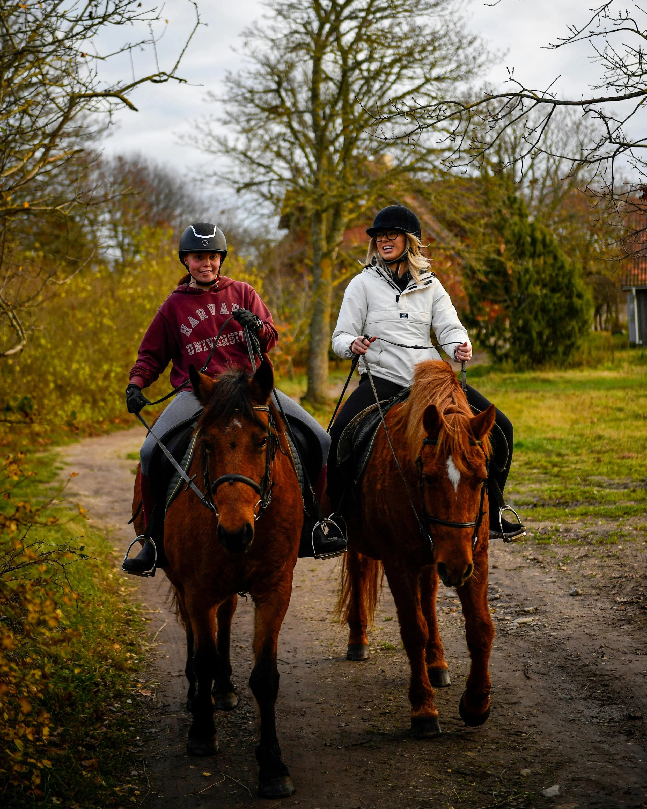 On the Scent: The Next Generation Finding Their Way to Rural Britain
