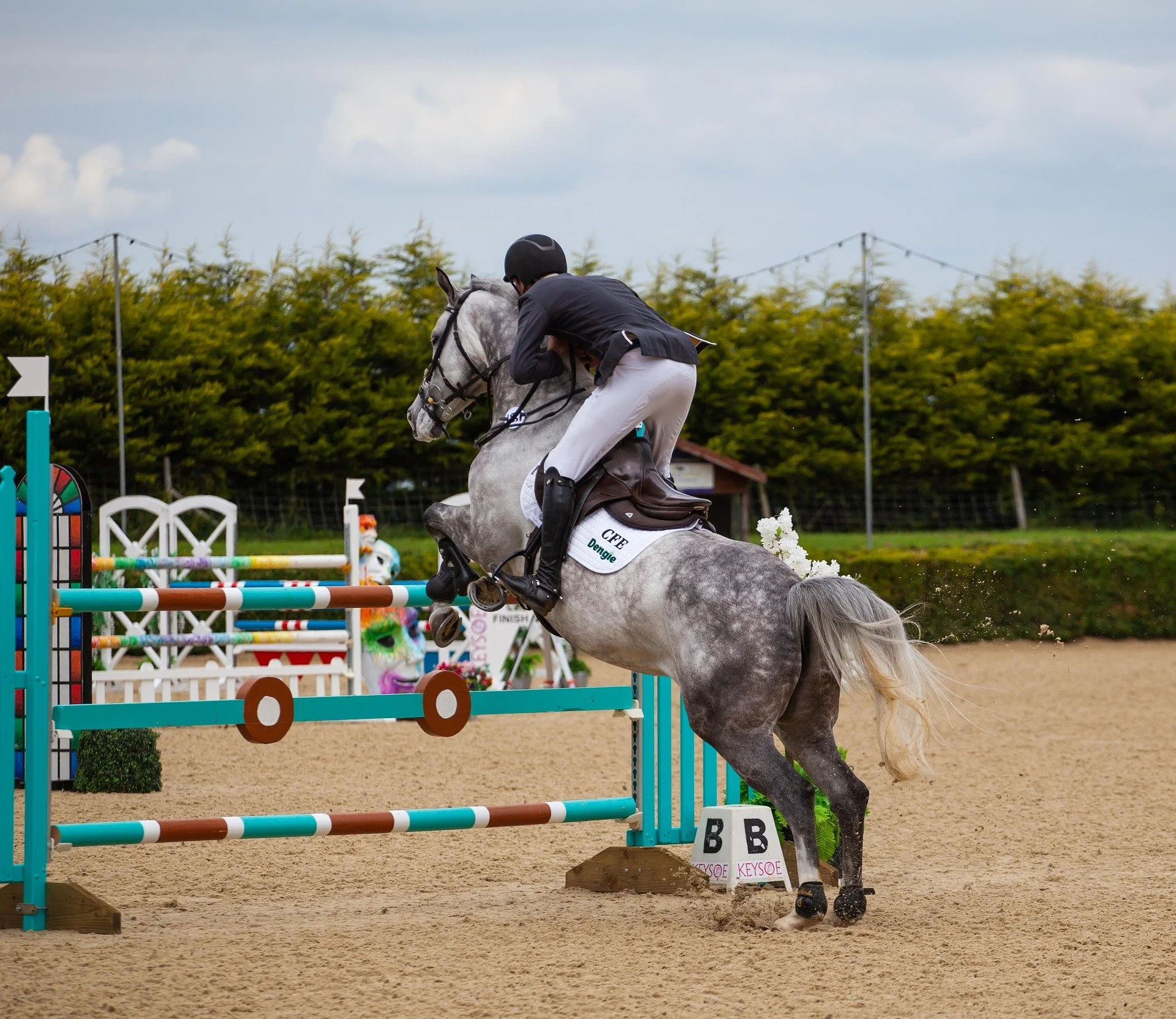 A person in a black riding jacket, white riding pants, and a helmet riding a gray horse jumping over a colorful obstacle in an outdoor equestrian arena.