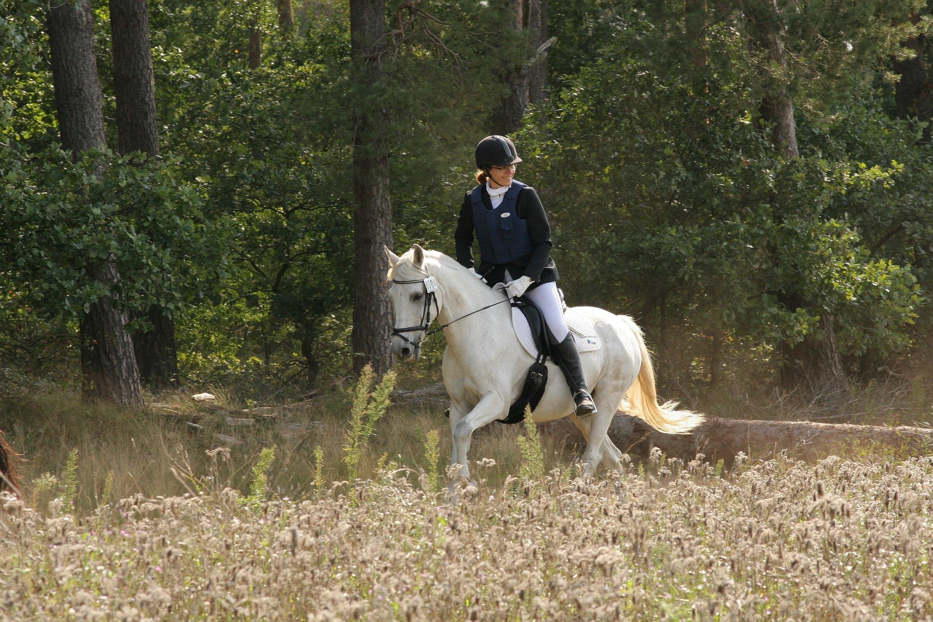 A woman riding a white horse through a wooded area with tall trees and grass.