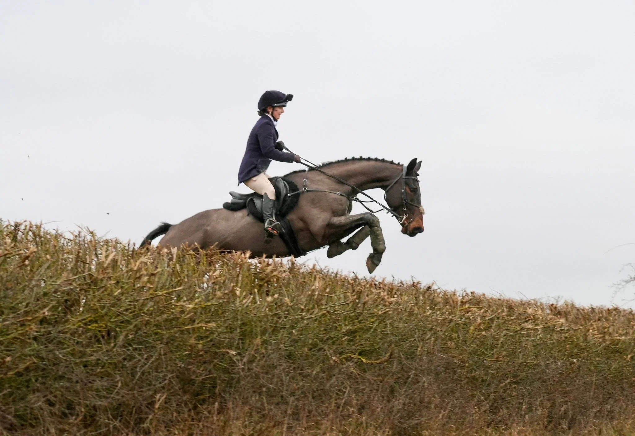 A person riding a jumping horse over a hedge during an English trail hunting event.