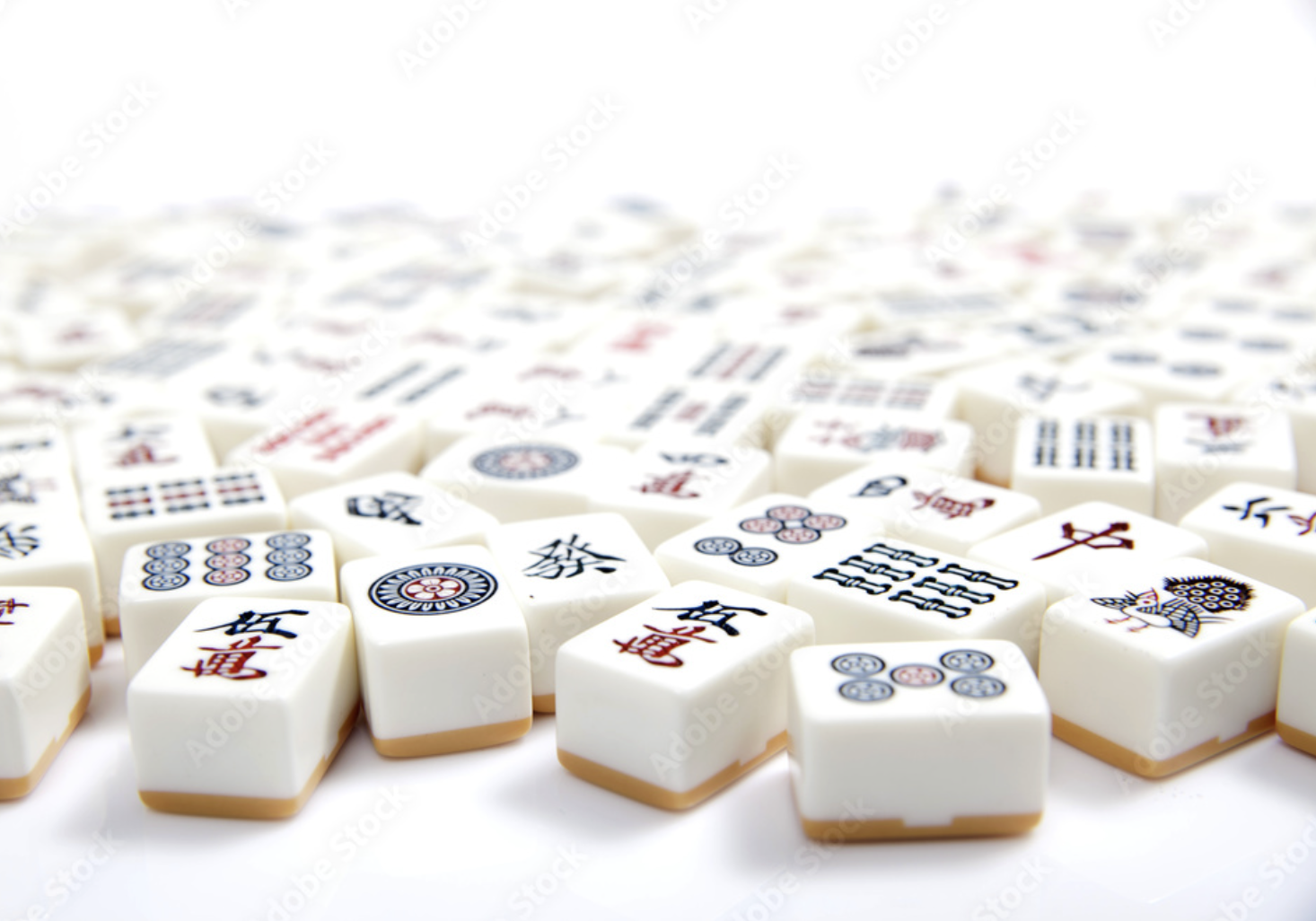 Private Lesson for 1 person