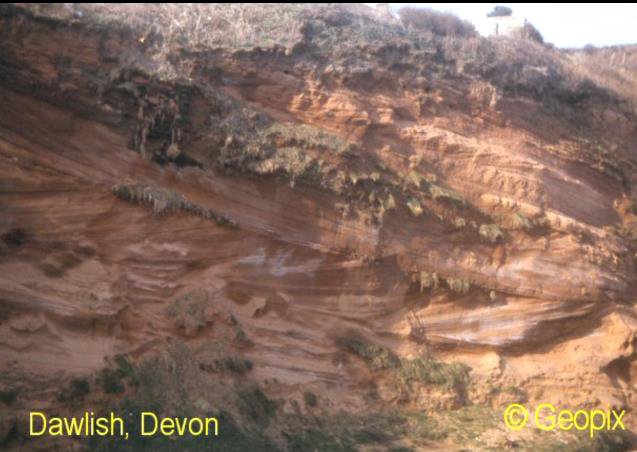 dune-bedding-permian-dawlish-devon.png