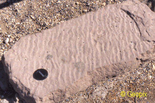 ripple-marks-rock-surface-2.jpg