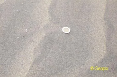 desert-ripples-coin-on-crest.jpg