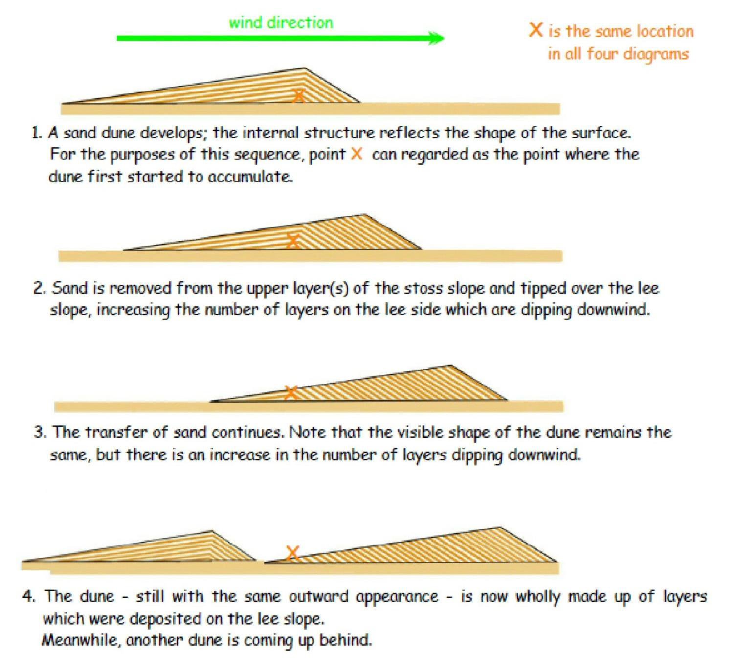 dune-migration-four-stage-diagram.jpg