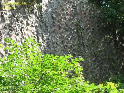 eccleriggs-bank-quarry-face.jpg