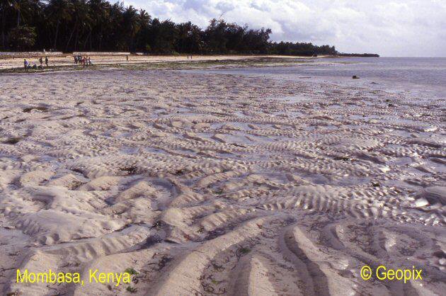 ripples-on-ripples-kenya.jpg