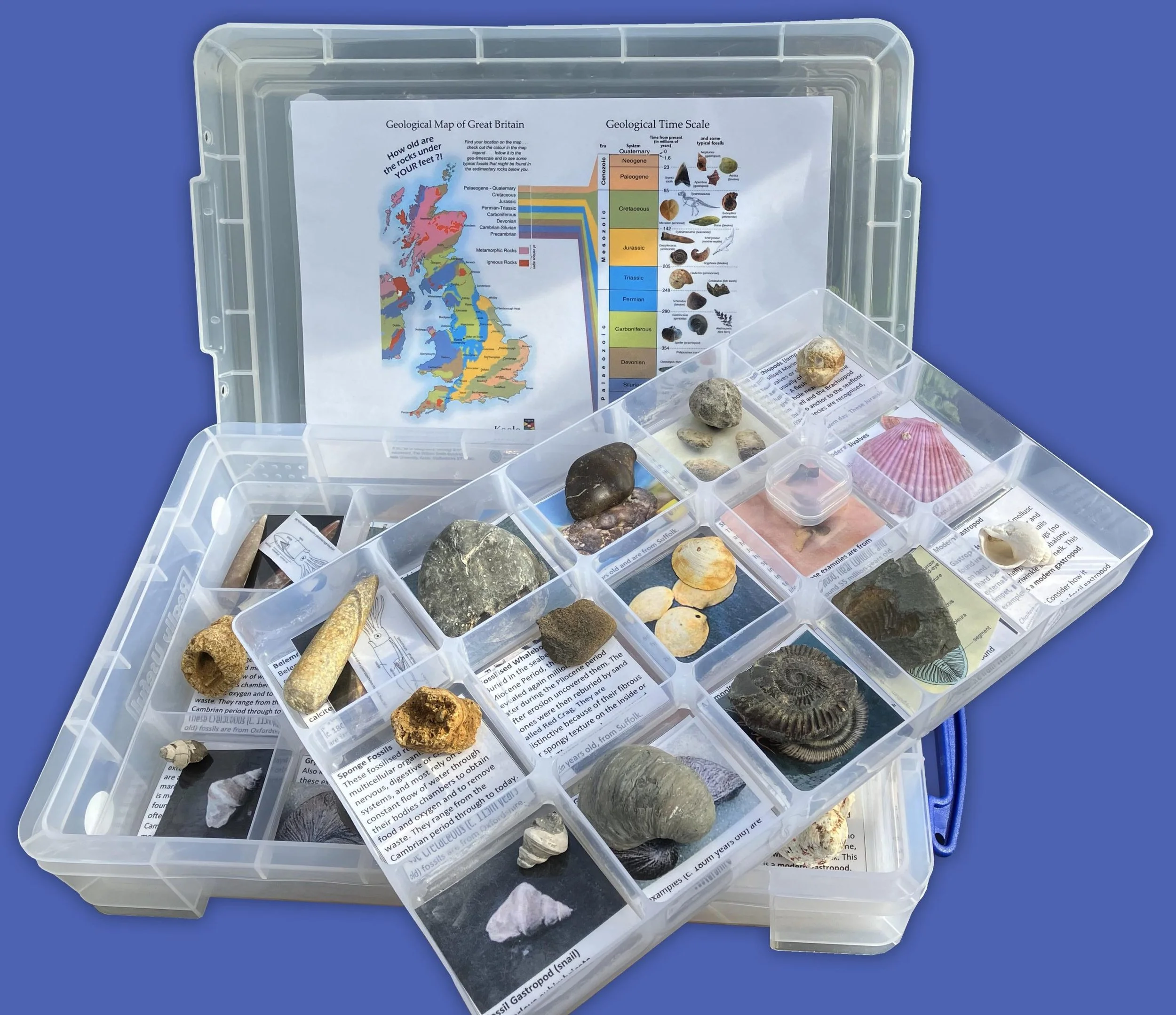 The Fossil Box Project Reaches 200 Boxes