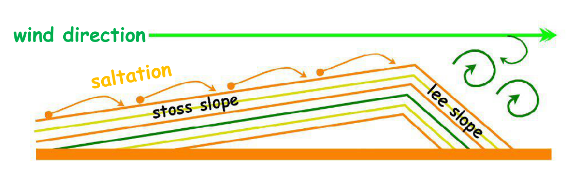 dune-surface-processes-diagram.png