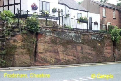 dune-bedding-frodsham-cheshire-2.jpg