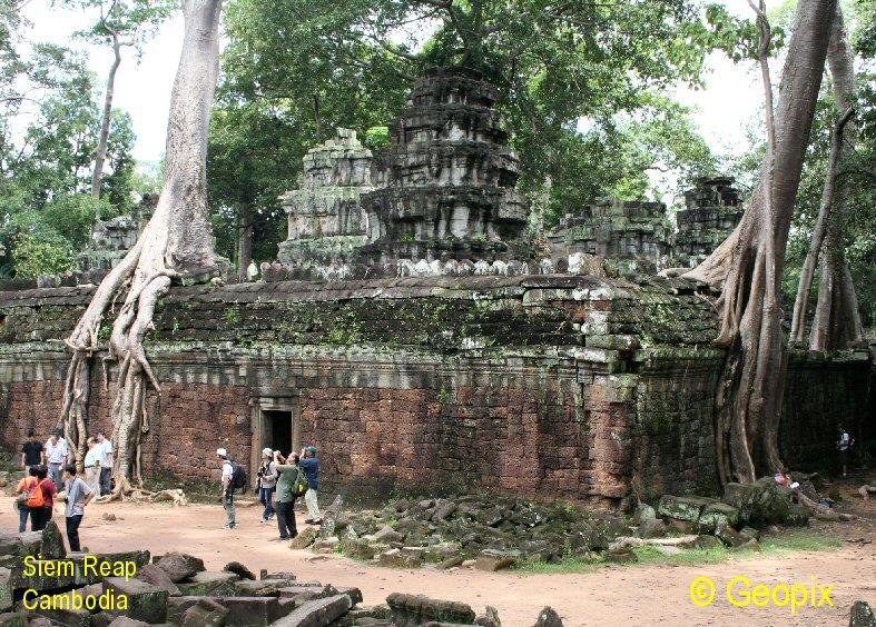 siem-reap-temple-trees.jpg