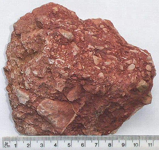 breccia-limestone-clasts.jpg