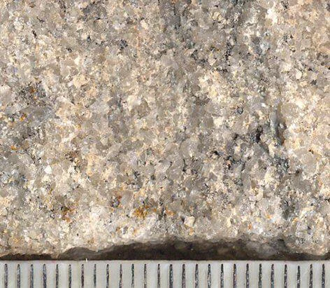 namurian-feldspathic-sandstone-gritstone.jpg