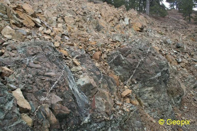 peridotite-shattered-veined.jpg