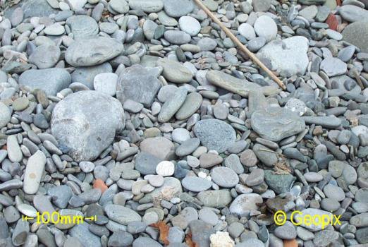 shingle-beach-1.jpg