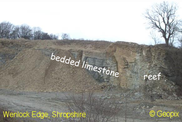 silurian-reef-wenlock-edge.png