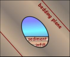 geopetal-diagram.png