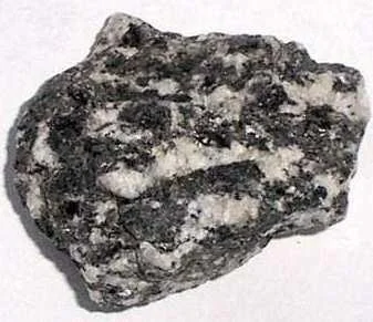 hornblende-in-diorite.jpg