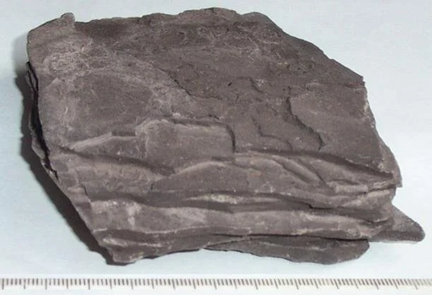 shale-hand-specimen.jpg