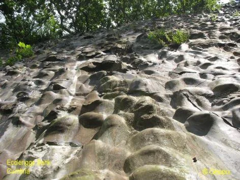 eccleriggs-bank-underside-bumps.jpg