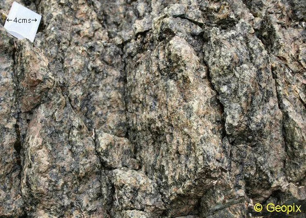 peridotite-foliation-vertical-layering.jpg