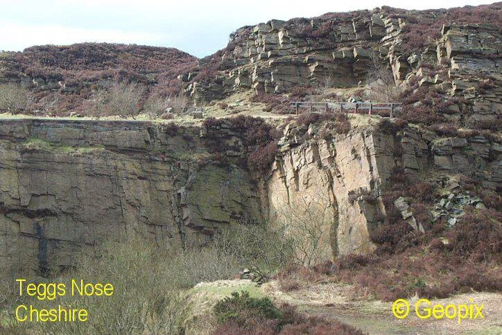 teggs-nose-cheshire-namurian-gritstone.jpg