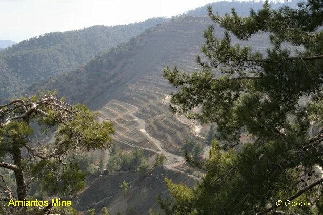 amiantos-revegetation-slope.jpg