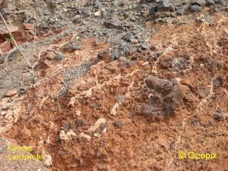 caliche-veins-soil.jpg