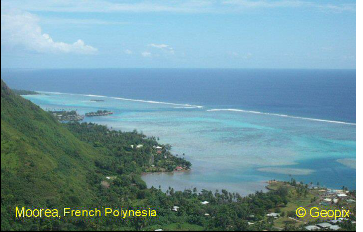 fringing-reef-moorea.png