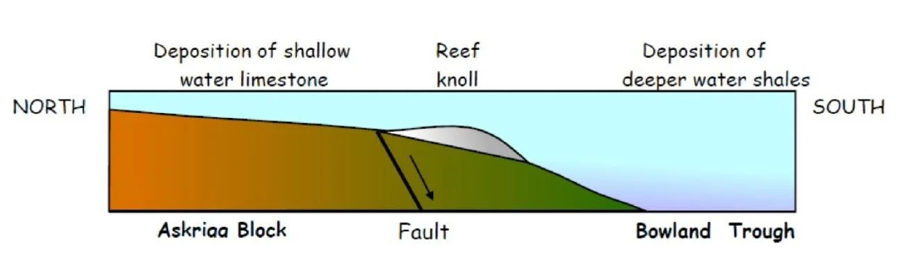 craven-reef-knoll-section-diagram.jpg