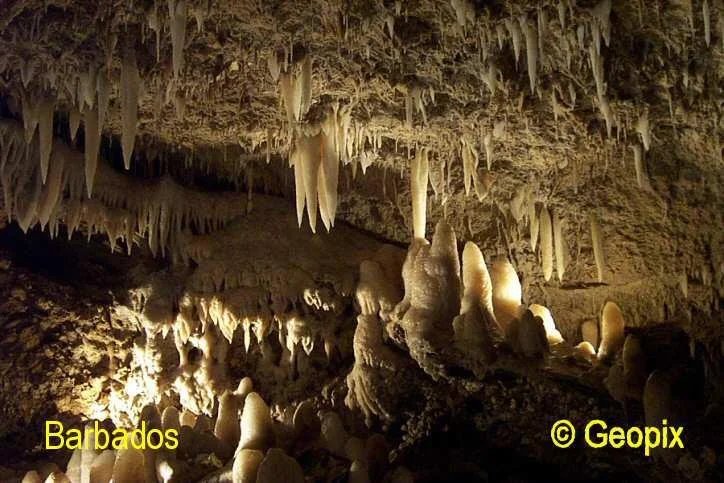 caves-stalactites-barbados.jpg