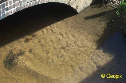 ripples-in-stream-culvert.jpg