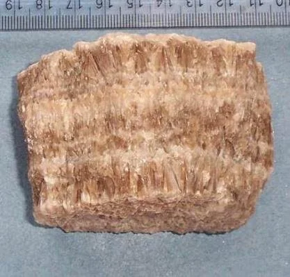 calcite-fibrous-beef.jpg