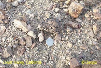 death-valley-rocky-desert-pebbles.jpg