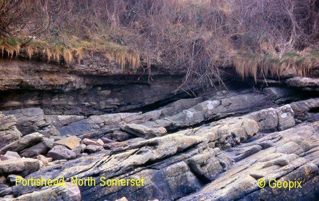 channel-in-sandstones-portishead.jpg