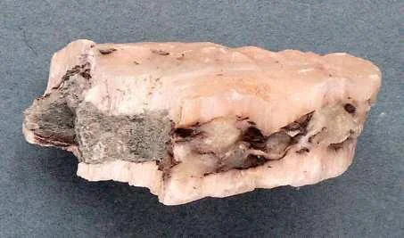 double-layer-of-gypsum-in-marl.jpg