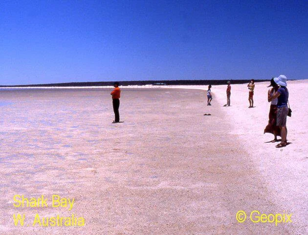 shell-sand-beach-shark-bay.jpg