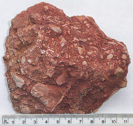 dolomitic-conglomerate-specimen.jpg