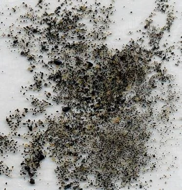 black-sand-grains-venus-point.jpg